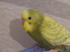 DSC01422.JPG