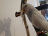 DSC01421.JPG
