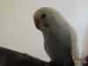 DSC01420.JPG