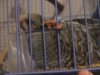 DSC01418.JPG