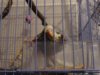 DSC01415.JPG