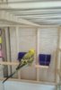 IMG_20170322_151414_007.jpg