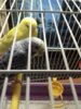 20170322_205224.jpg