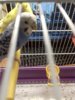 20170322_205214.jpg