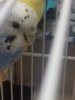 20170322_220016.jpg