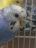 20170322_220024.jpg