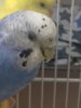 20170322_220035.jpg