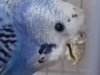 20170323_143704.jpg
