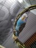 IMG_2017-03-23_185259.jpg