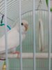 TnR8SqQX4N0.jpg