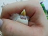 6g_-TTPoOqo.jpg