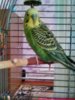 IMG_20170326_093821.jpg