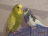 DSC01438.JPG