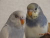 DSC01425.JPG