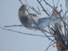 DSC01472.JPG