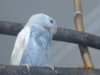 DSC01489.JPG