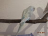 DSC01427.JPG