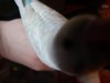 DSC01509.JPG