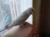 DSC01504.JPG