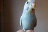 DSC01506.JPG