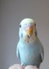 DSC01505.JPG