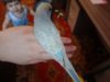 DSC01502.JPG