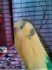IMG_20170327_101542.jpg