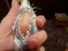 DSC01516.JPG