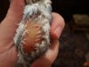 DSC01517.JPG