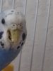 20170328_093959.jpg