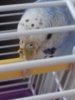 20170328_093908.jpg