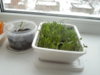 DSCN8131.JPG