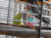 DSCN8126.JPG