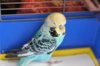 DSC08369.jpg