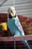 DSC08377.jpg
