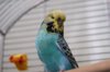 DSC08407.jpg