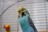 DSC08396.jpg