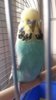 20170312_161129.jpg