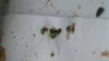 20170401_093617.jpg