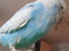 DSCN8162.JPG