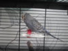 DSCN8156.JPG