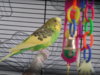 DSCN8158.JPG