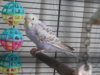 DSCN8159.JPG
