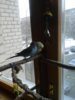 20170326_150757.jpg