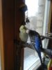 20170326_150304.jpg