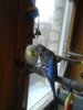 20170326_150251.jpg