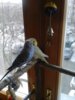 20170326_150230.jpg