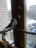 20170326_150812.jpg