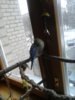 20170326_150844.jpg