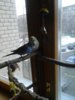 20170326_150753.jpg